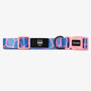 Premium Dog Collar - Multicolor Striped Pattern