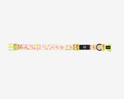 Premium Dog Collar - Multicolor Striped Pattern