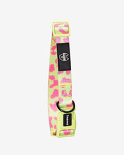 Premium Dog Collar - Multicolor Striped Pattern