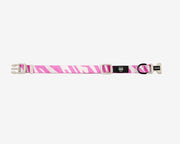 Premium Dog Collar - Multicolor Striped Pattern