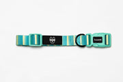 Premium Dog Collar - Multicolor Striped Pattern