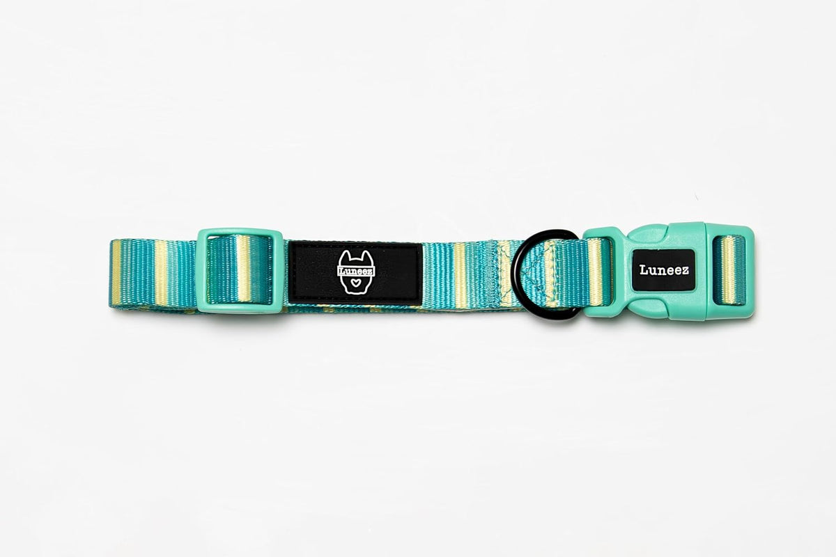 Premium Dog Collar - Multicolor Striped Pattern