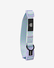 Premium Dog Collar - Multicolor Striped Pattern