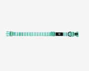 Premium Dog Collar - Multicolor Striped Pattern