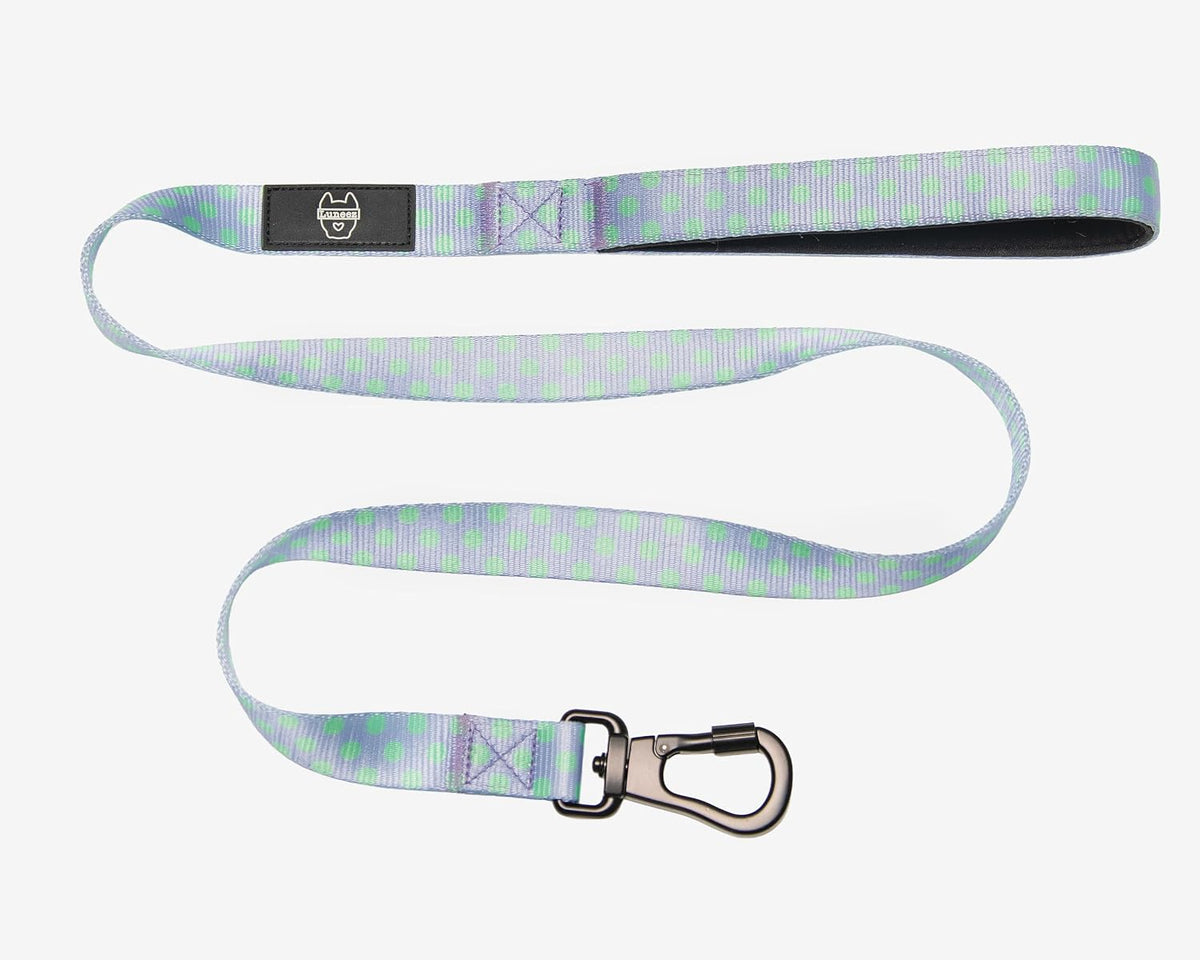 Premium Dog Leash Multicolored Striped