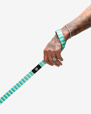 Premium Dog Leash Multicolored Striped