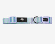 Premium Dog Collar - Multicolor Striped Pattern