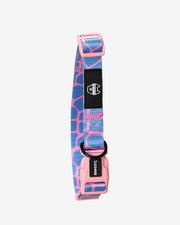 Premium Dog Collar - Multicolor Striped Pattern