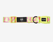 Premium Dog Collar - Multicolor Striped Pattern