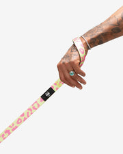 Premium Dog Leash Multicolored Striped