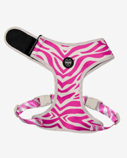 Dog Harness - Multicolored Striped Pattern