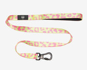 Premium Dog Leash Multicolored Striped