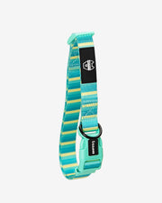 Premium Dog Collar - Multicolor Striped Pattern