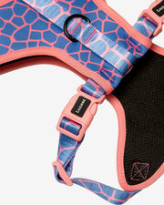 Dog Harness - Multicolored Striped Pattern