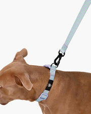 Premium Dog Leash Multicolored Striped