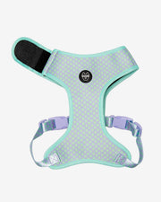 Dog Harness - Multicolored Striped Pattern