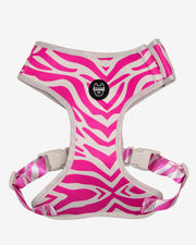 Dog Harness - Multicolored Striped Pattern