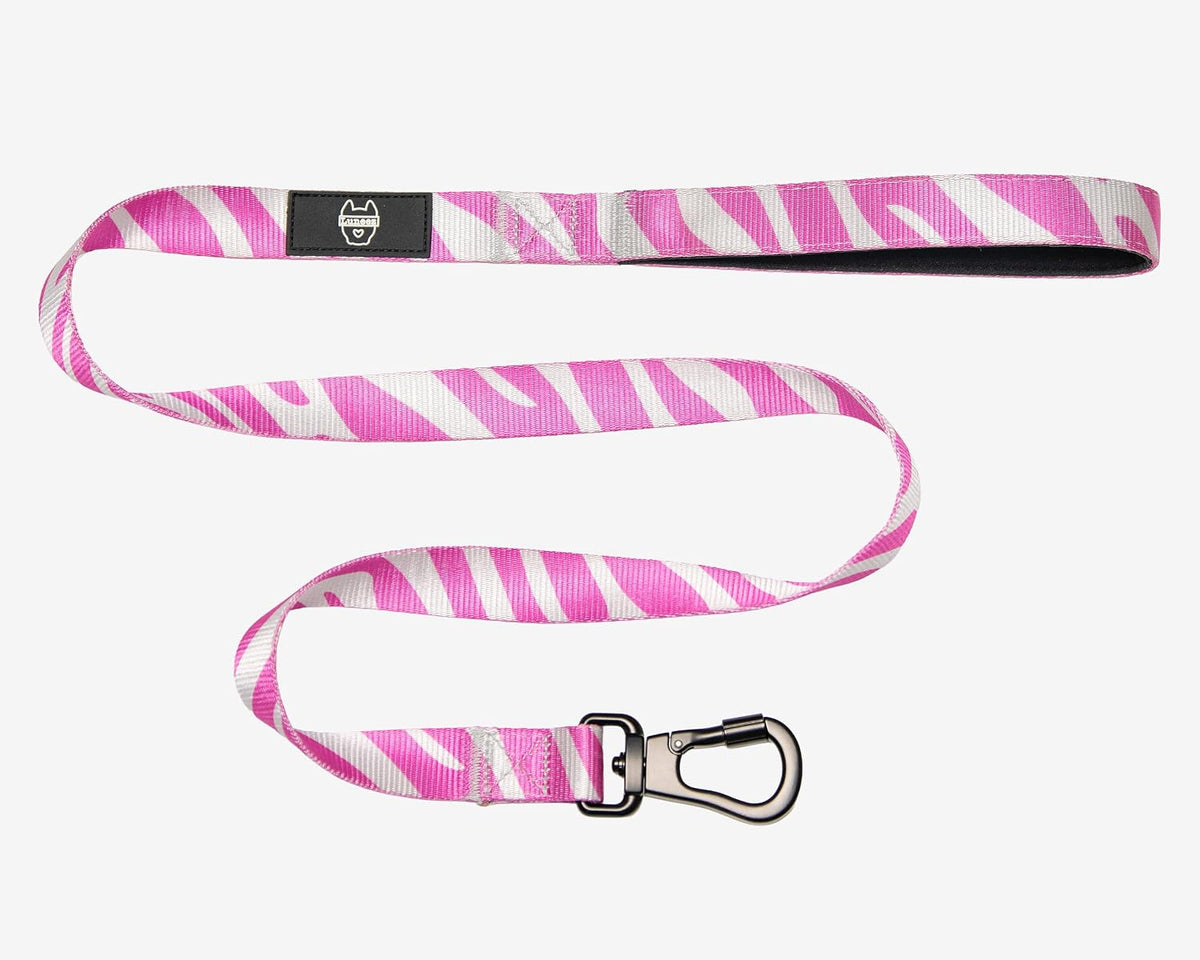 Premium Dog Leash Multicolored Striped