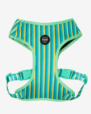 Dog Harness - Multicolored Striped Pattern