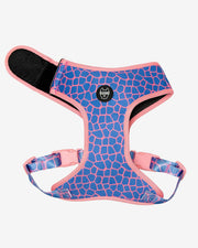 Dog Harness - Multicolored Striped Pattern