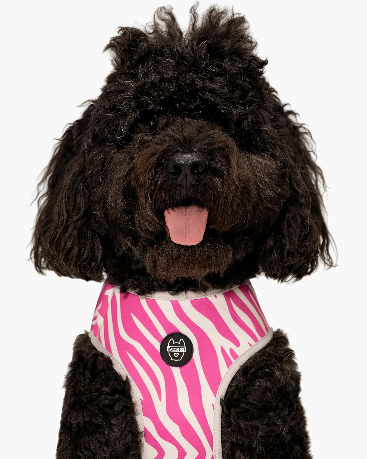 Dog Harness - Multicolored Striped Pattern