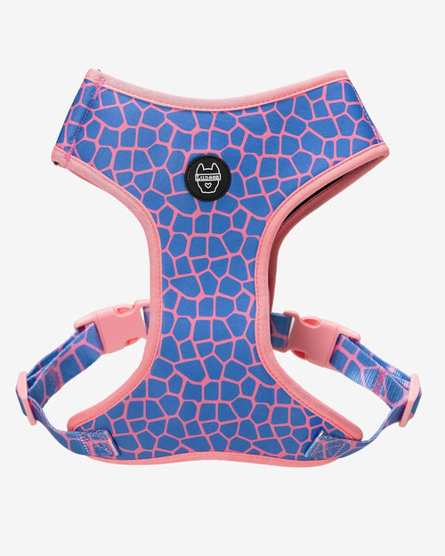 Dog Harness - Multicolored Striped Pattern