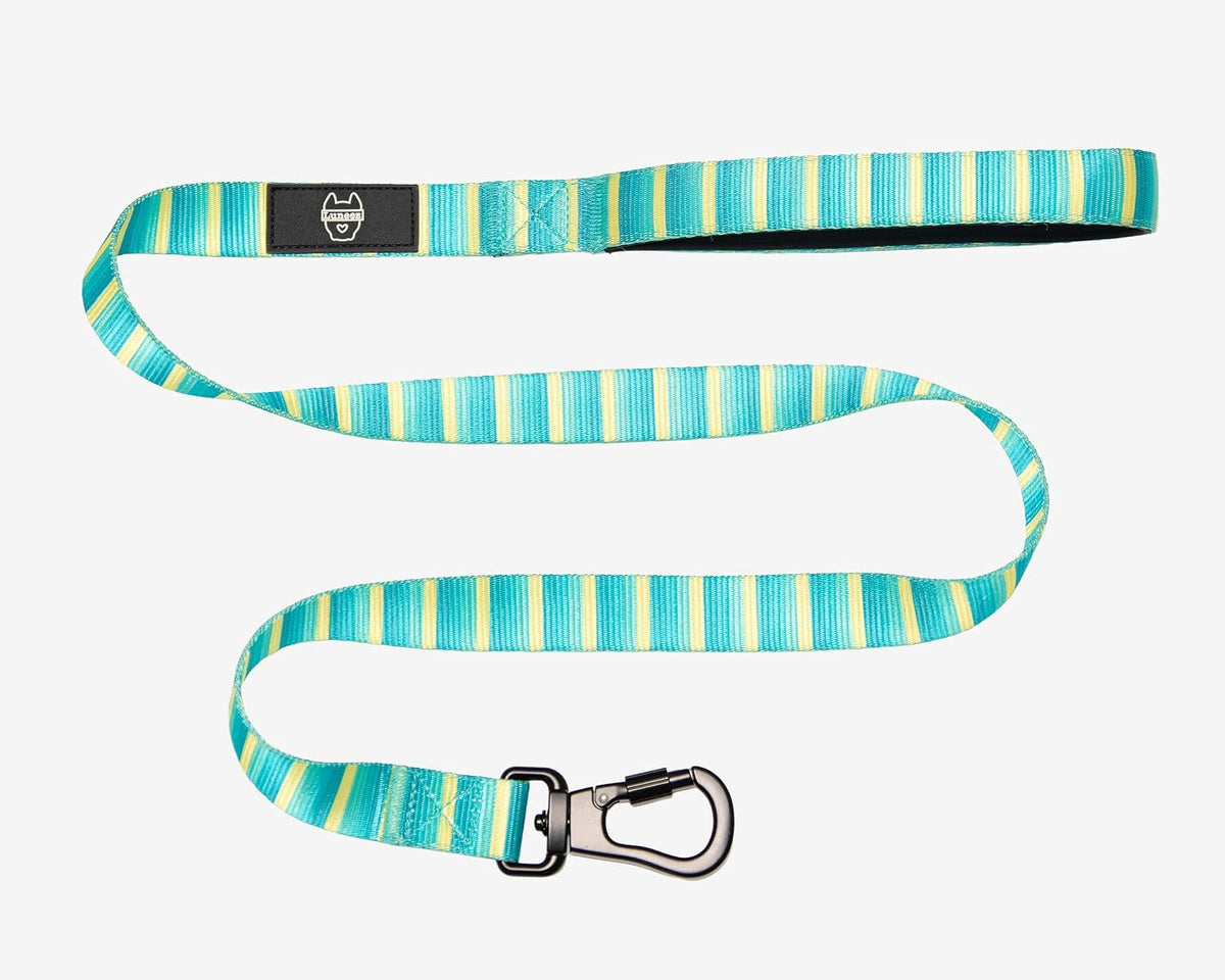 Premium Dog Leash Multicolored Striped