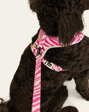 Premium Dog Leash Multicolored Striped