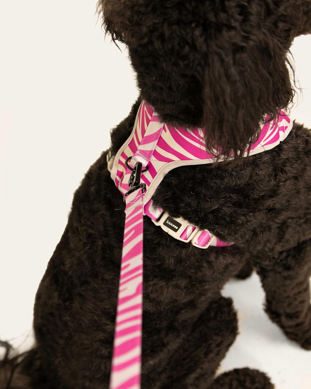 Premium Dog Leash Multicolored Striped