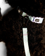 Premium Dog Leash Multicolored Striped