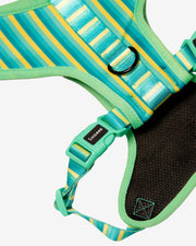 Dog Harness - Multicolored Striped Pattern