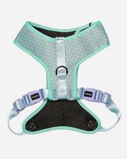 Dog Harness - Multicolored Striped Pattern