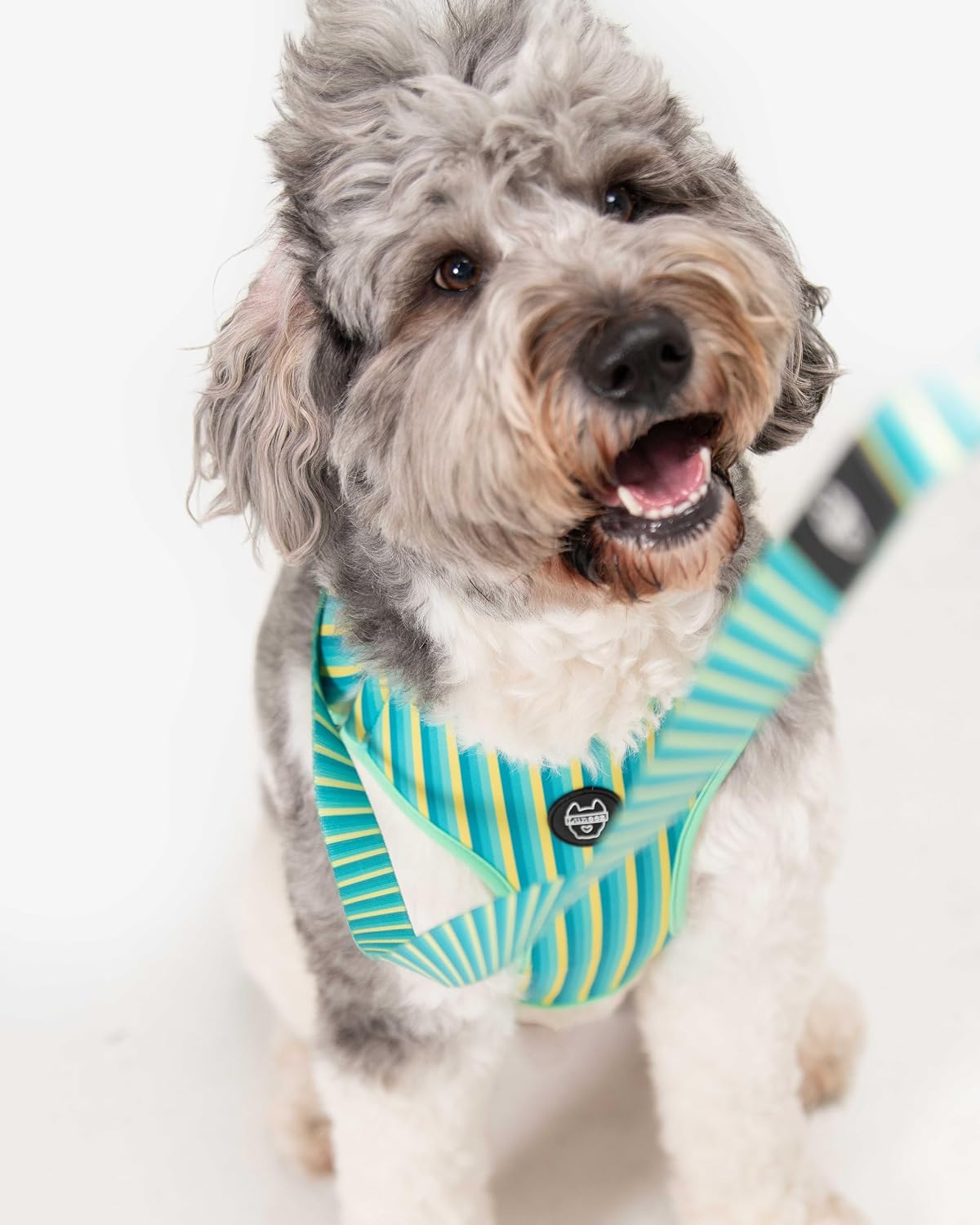 Luneez Biscayne Dog Leash – multicolor striped