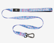Premium Dog Leash Multicolored Striped