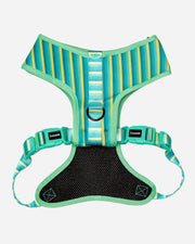 Dog Harness - Multicolored Striped Pattern