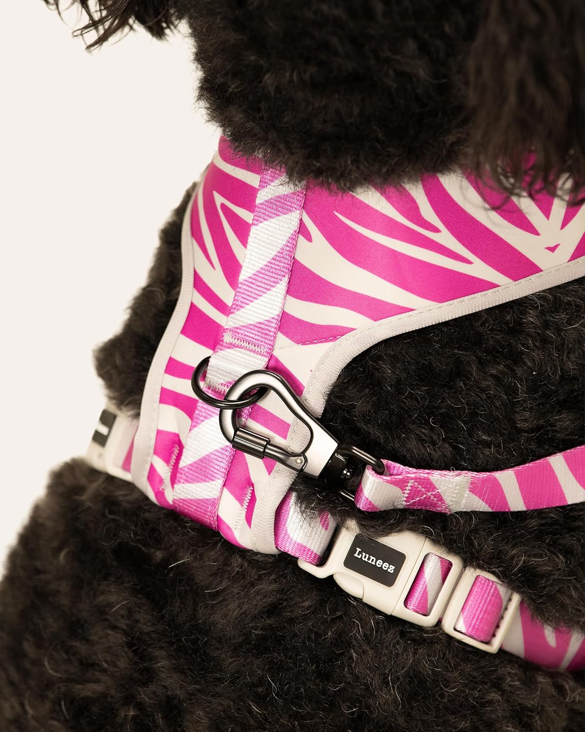Premium Dog Leash Multicolored Striped
