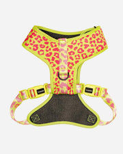 Dog Harness - Multicolored Striped Pattern