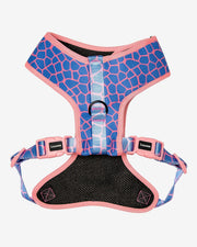 Dog Harness - Multicolored Striped Pattern