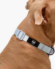 Premium Dog Collar - Multicolor Striped Pattern