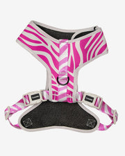 Dog Harness - Multicolored Striped Pattern