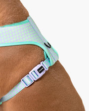 Dog Harness - Multicolored Striped Pattern