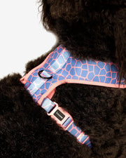 Dog Harness - Multicolored Striped Pattern