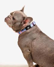 Premium Dog Collar - Multicolor Striped Pattern