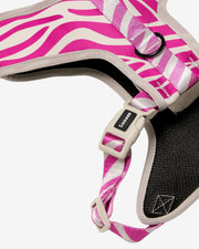 Dog Harness - Multicolored Striped Pattern