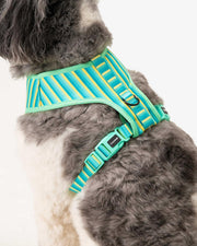 Dog Harness - Multicolored Striped Pattern