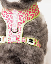 Dog Harness - Multicolored Striped Pattern