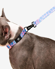 Premium Dog Leash Multicolored Striped