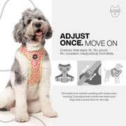 Luneez Nova Dog Vest Harness – pink and neon green leopard print