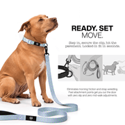 Luneez Luna Dog Leash – lavender and neon green polka dots
