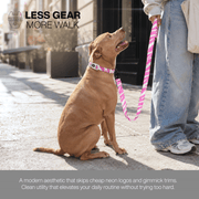 Luneez Riot Dog Leash – purple and grey zebra print